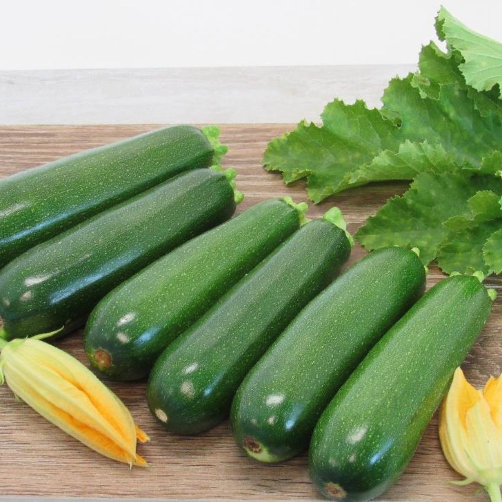 Green Zuchinni