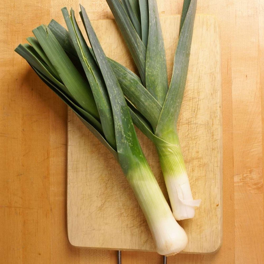 Leek