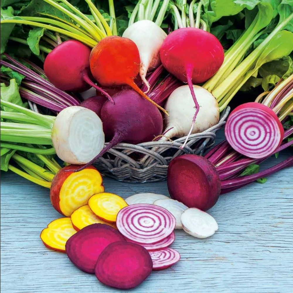 Rainbow Beet