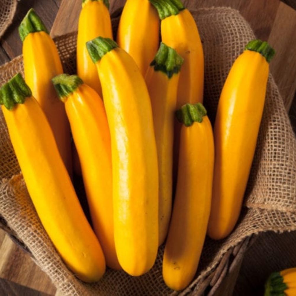 Yellow Zuchinni